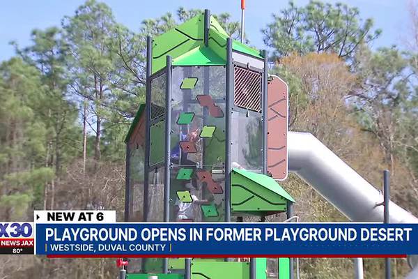 Jacksonville playground opens in former playground desert
