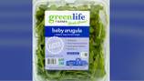 Recall alert: Green Life Farms recalls baby arugula over salmonella concerns