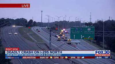 Deadly crash on I-295 North