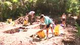 ‘They’re really experiencing archaeology:’ UNF students excavate at lost Indigenous town