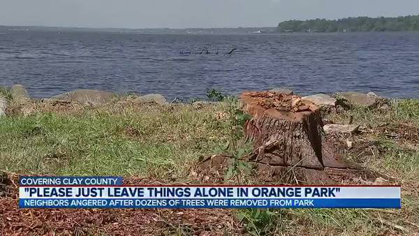 Orange Park neighbors angered after dozens of trees removed from park