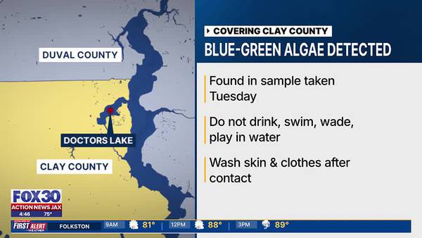 Department of Health cautions boaters and swimmers of blue-green algae in Doctors Lake