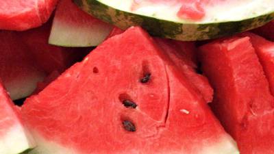 Meet exotic animals and learn about wildlife with Cool Zoo at Clay County’s Watermelon Fest