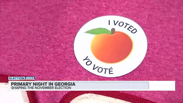 Georgians cast their vote in 2022 primary election