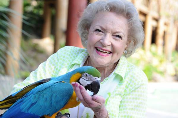 LA Zoo marks the late Betty White’s 100th birthday with tribute
