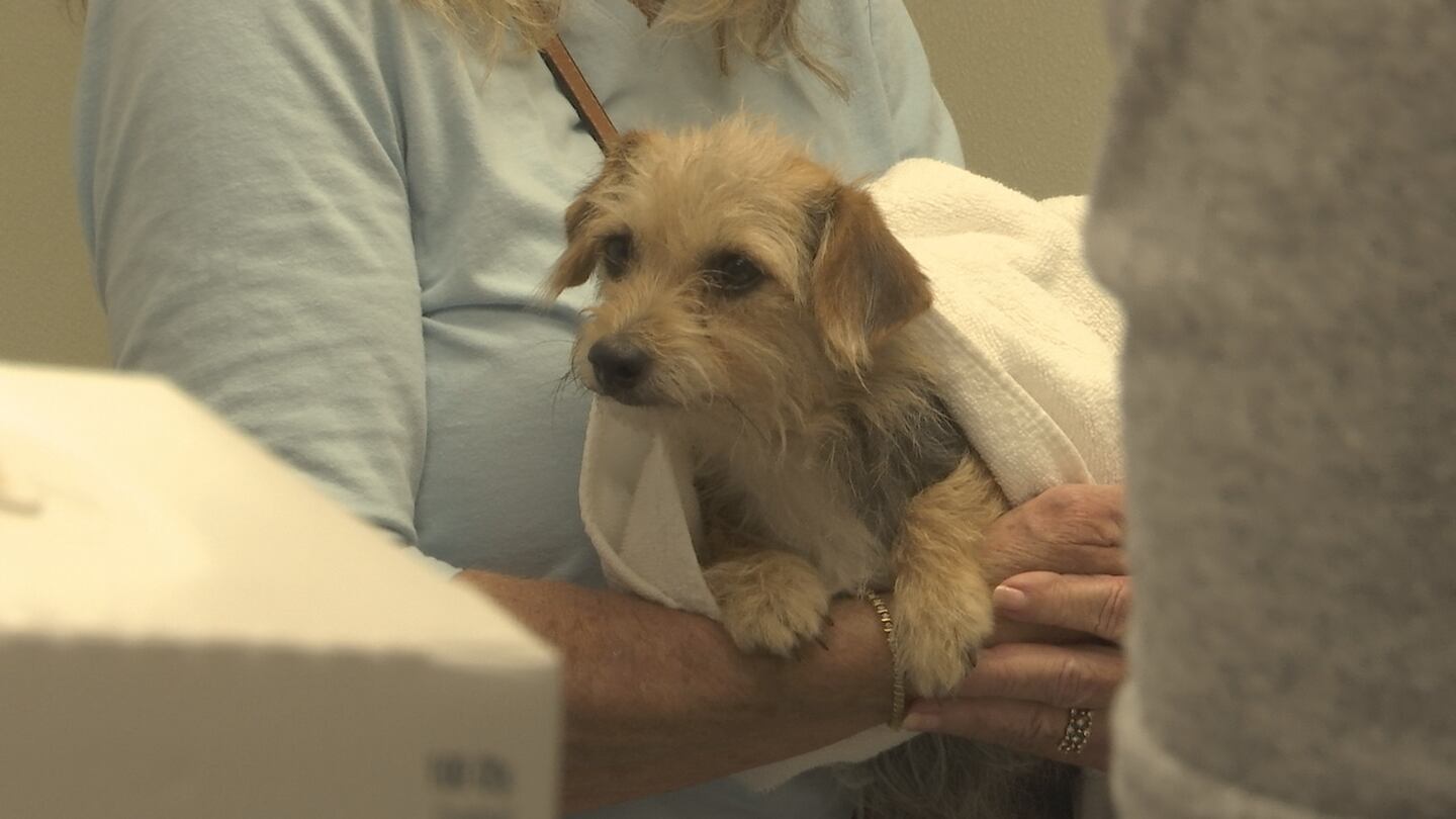 208 dogs were covered from home in Putnam County.