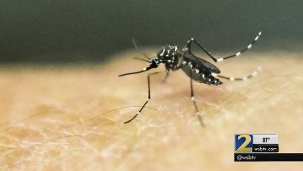 First sexually transmitted Zika case reported in Georgia