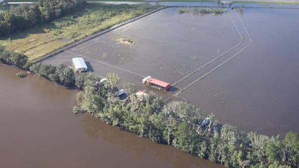 Photos: Hurricane Milton aftermath in St. Johns County 