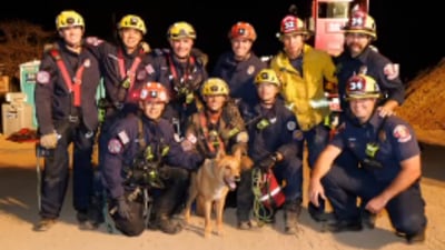 Firefighters rescue blind dog from hole at California construction site 