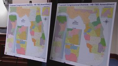 Attorneys for voting rights groups file motion urging judges to reconsider redistricting ruling