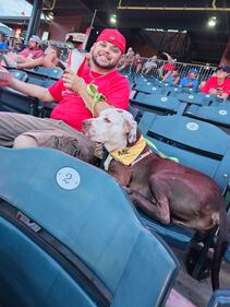 One of ACPS' dogs to adopt was locked into the action on Wednesday.