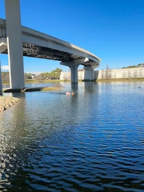 The cat rescue took place in chest deep water.
