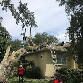 Fernandina Beach woman’s home damaged after Tropical Storm Elsa