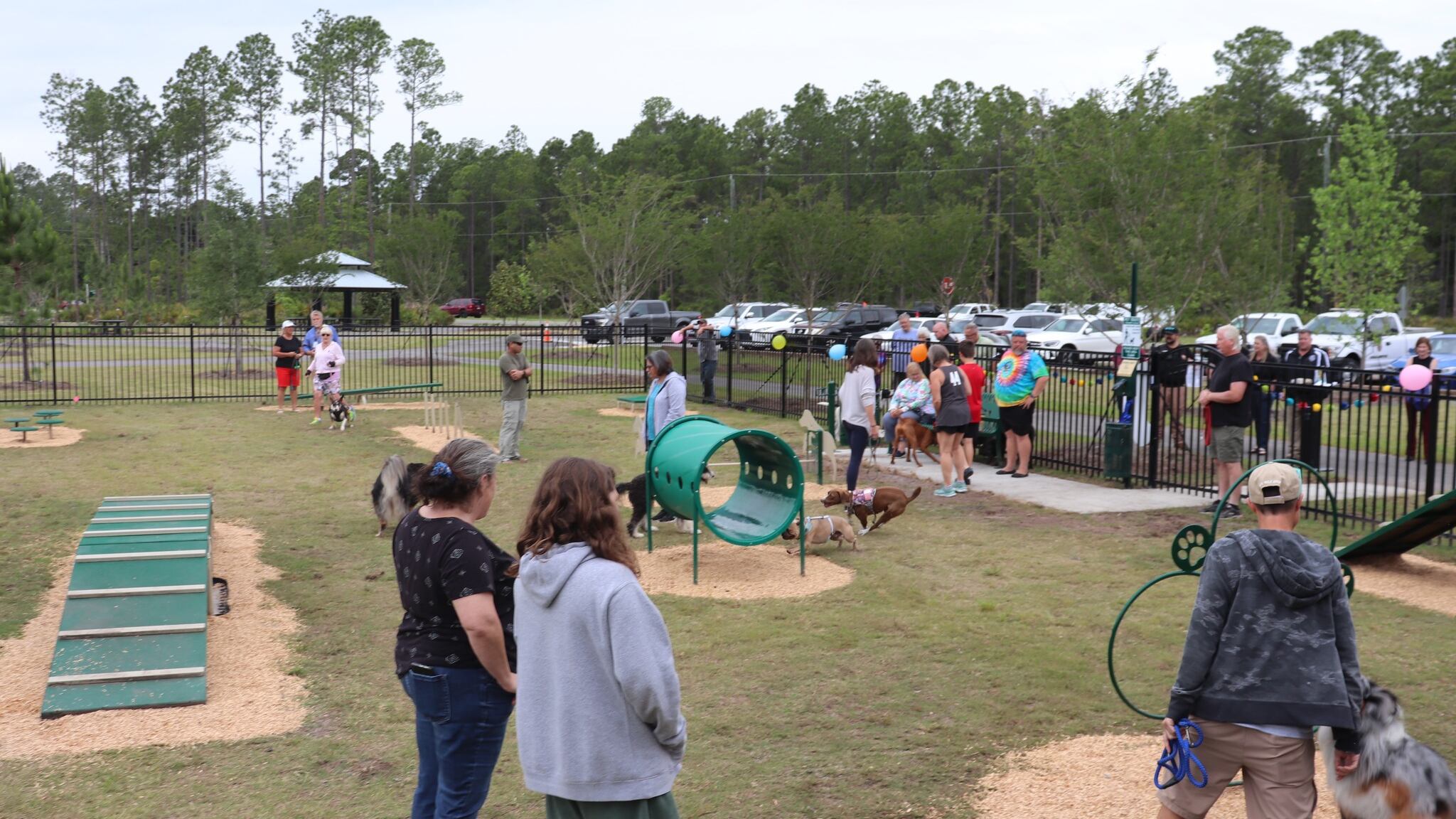 The new dog park includes obstacles in a fenced in area within Nassau Crossing Park.