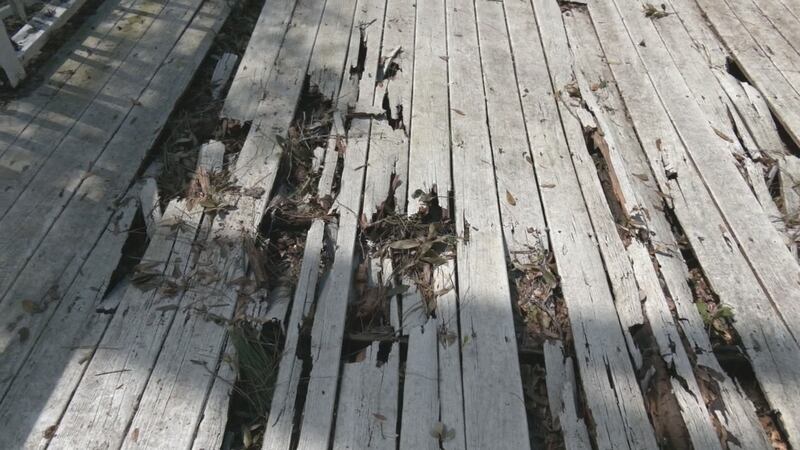 Family members in Glynn County are facing several challenges after winds from Helene toppled more than a dozen large trees on their property.