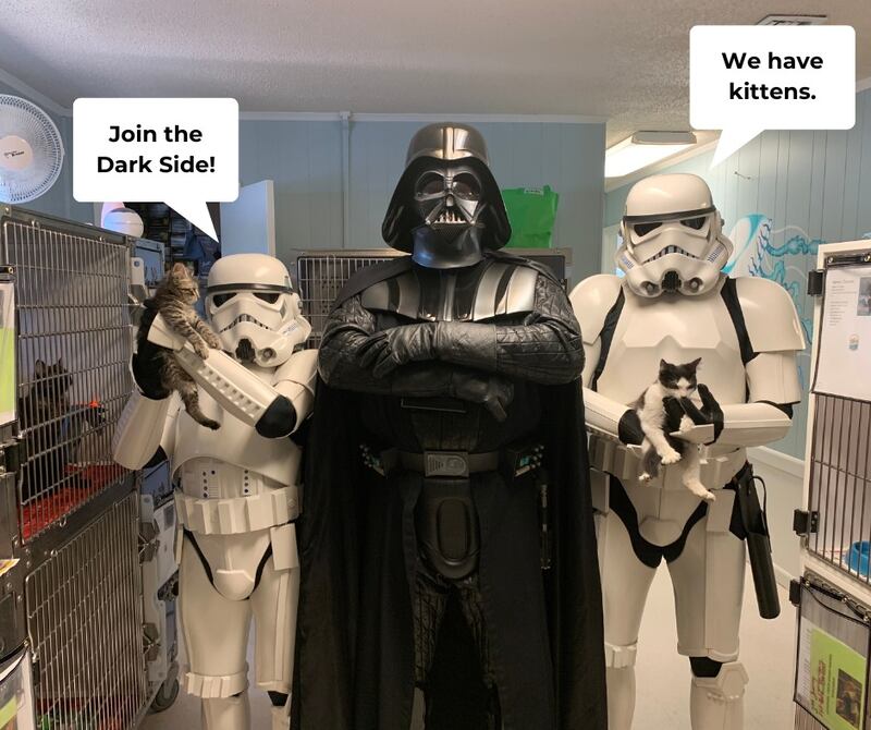 To join the dark or the light side? These future pets are just looking for a place to call home.