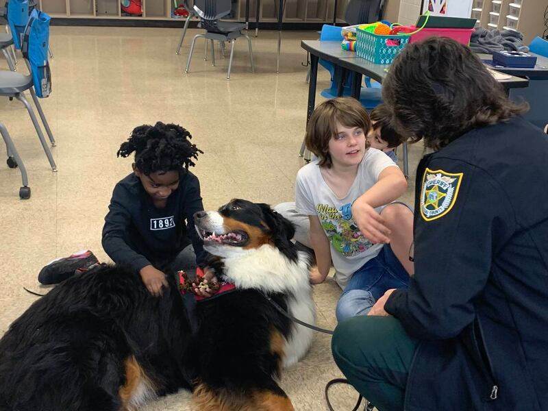 K9 Tank out of Nassau County is asking for love and votes to become 2024's Top Dog.