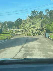 Damage Friday morning from Hurricane Helene in the San Jose Forest and San Jose West area in Jacksonville.