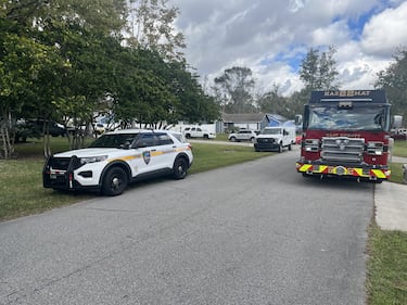 More than 30 animals were seized from a Middleburg home on Wednesday after the owner brought “multiple deceased dogs” to be cremated in Jacksonville, Clay County officials said.