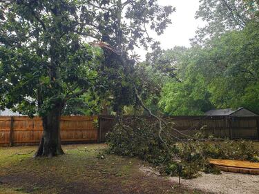 Storm damage in Northeast Florida, Southeast Georgia, 5/10/24