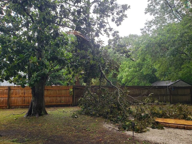 Storm damage in Northeast Florida, Southeast Georgia, 5/10/24