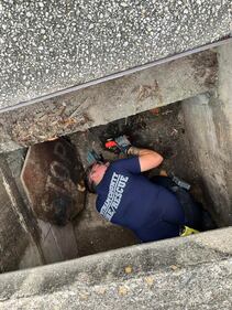 Putnam County Fire Rescue said that it rescued a kitten stuck in a storm drain on Wednesday.