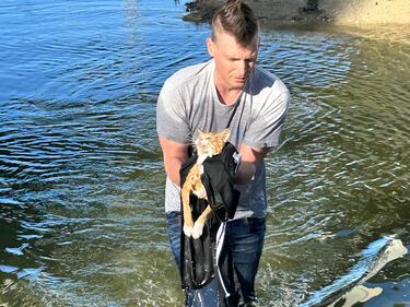 Kelly Brown said her husband didn't think twice about rescuing the cat under the overpass.