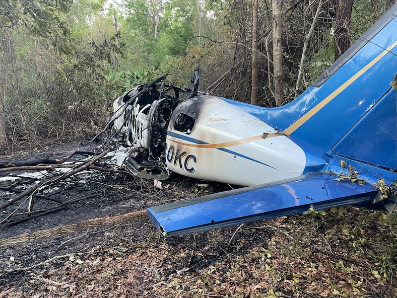 FHP confirmed that a single engine plane crash into the tree line after the pilot lost control during takeoff.