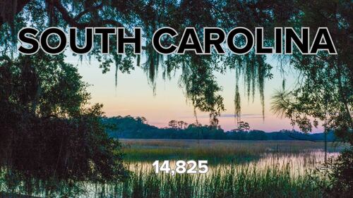 Here are how many people from each state moved to Florida in 2022