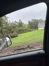 Trees down on Lake City properties.