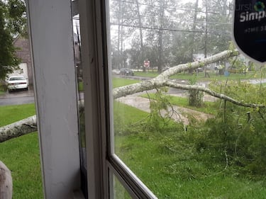 This viewer sent in a picture of a downed tree outside their home on College Street.