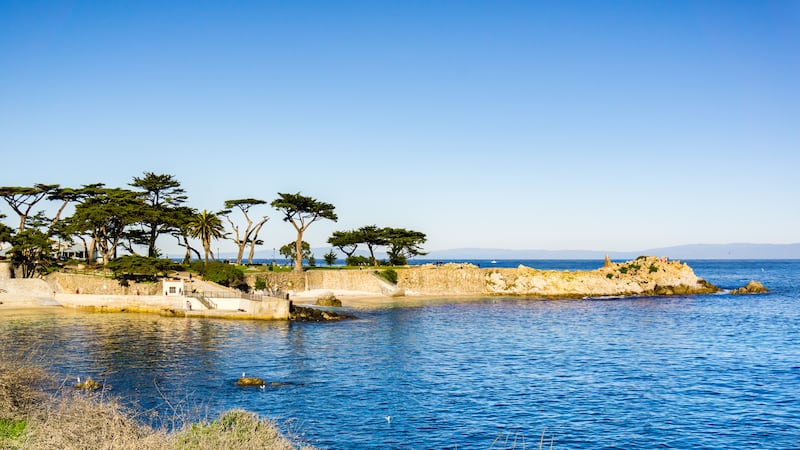 Missing woman may have been victim of shark attack