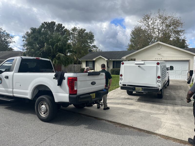 More than 30 animals were seized from a Middleburg home on Wednesday after the owner brought “multiple deceased dogs” to be cremated in Jacksonville, Clay County officials said.