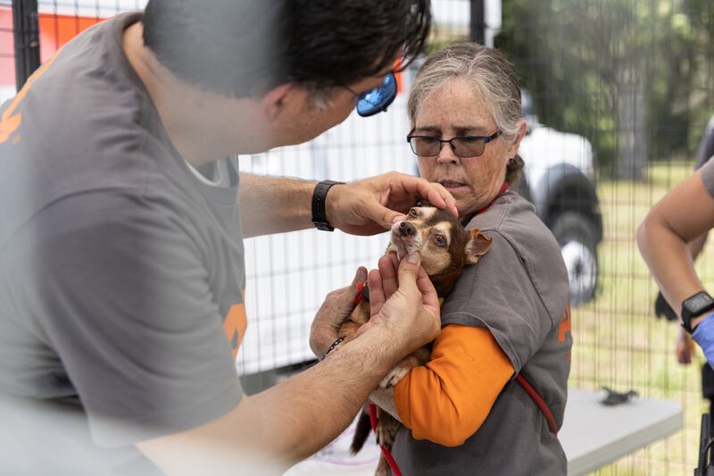 More than 50 dogs and cats “living in filthy conditions” were rescued Wednesday from a property on State Road 121 in Lake Butler, the Union County Sheriff’s Office said. UCSO and the Union County Animal Control requested the ASPCA’s assistance with rescuing the animals, which included newborn kittens.