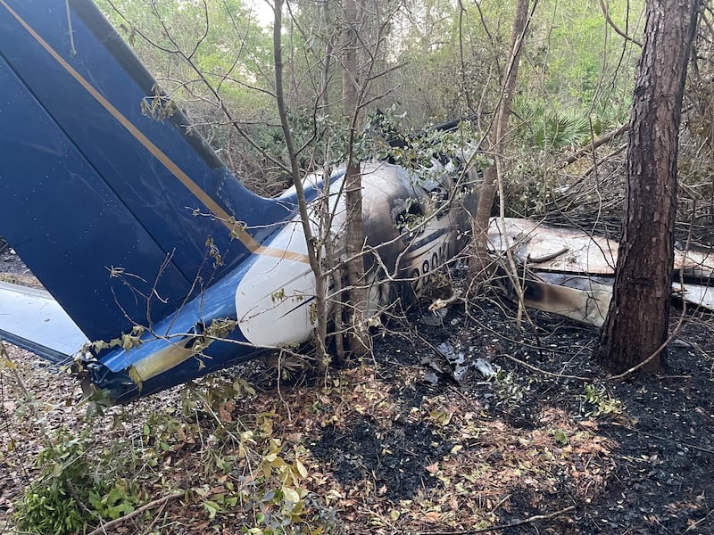 FHP confirmed that a single engine plane crash into the tree line after the pilot lost control during takeoff.