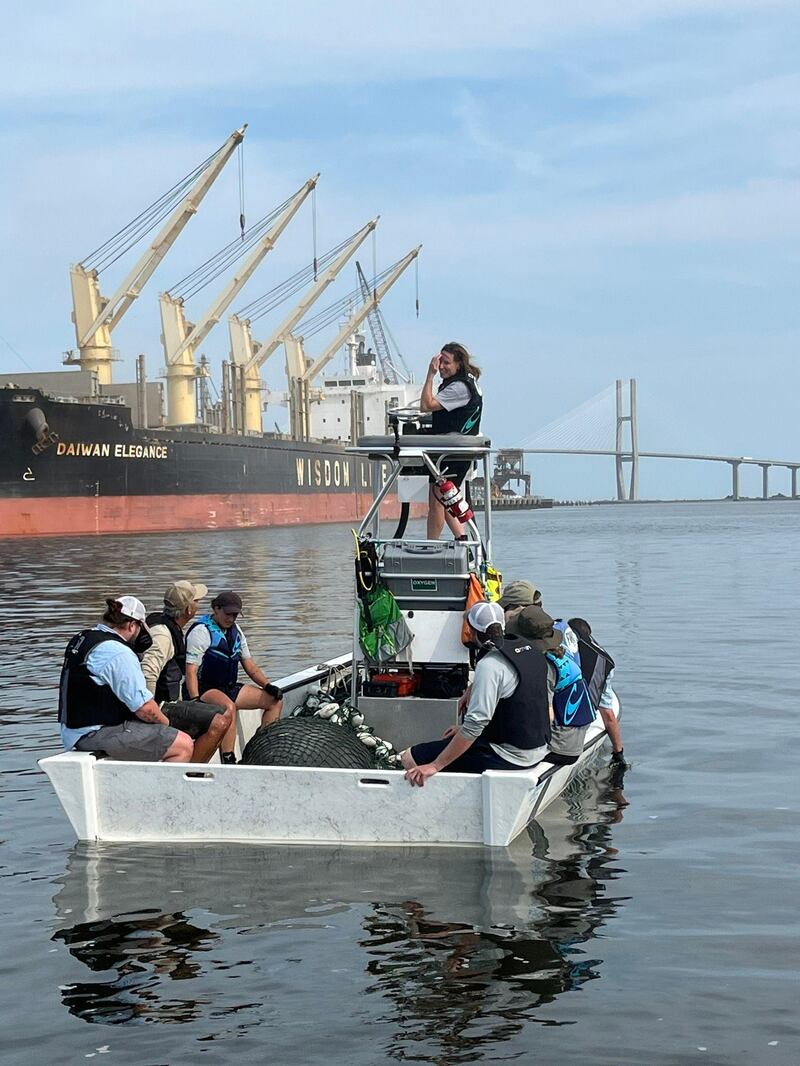 A joint rescue in Brunswick's East River saved a manatee after being struck by a boat.