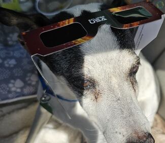 Elvis King knows all about safety when viewing the solar eclipse in Blackshear, Ga.