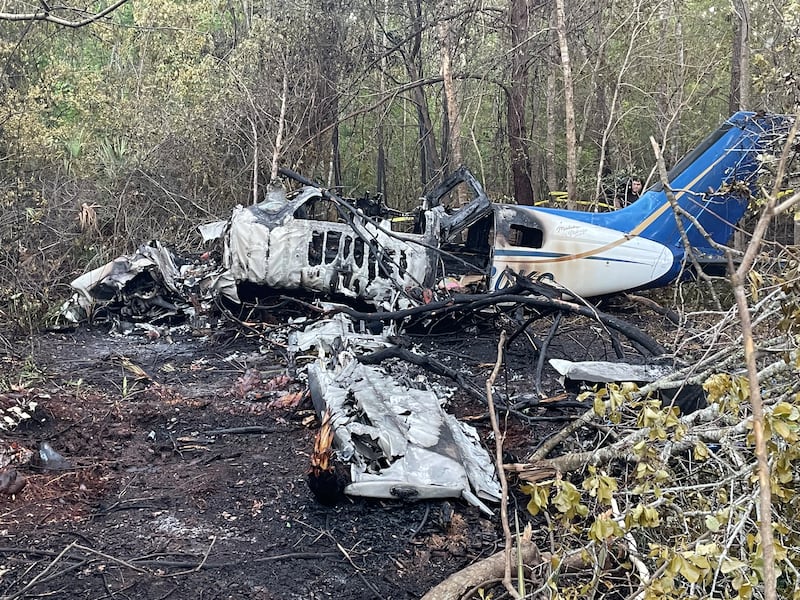 A husband (pilot) and wife (passenger) were on board the plane that crashed into the tree line.