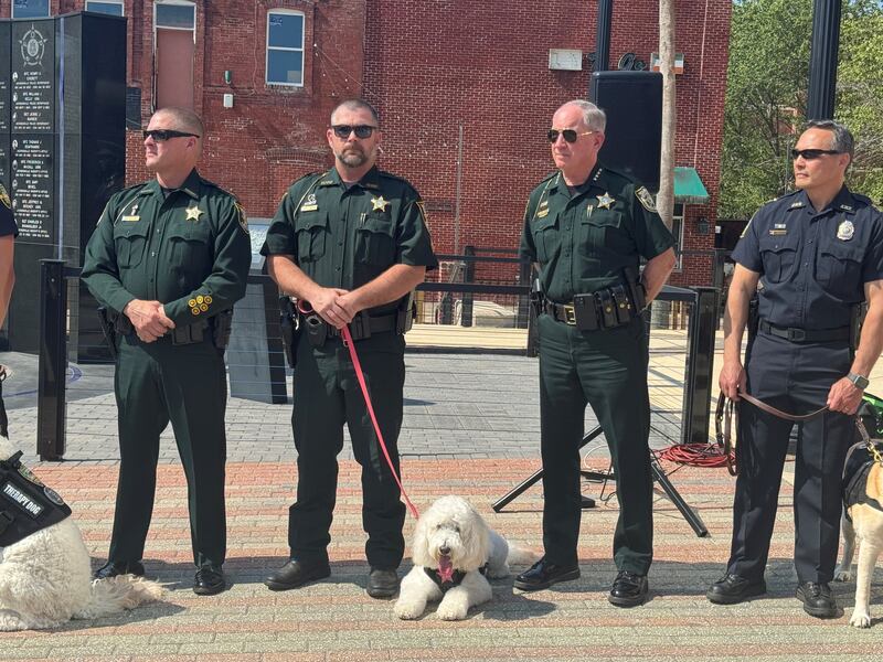 K9s For Warriors help veterans and law enforcement agencies deal with PTSD and other mental health issues.