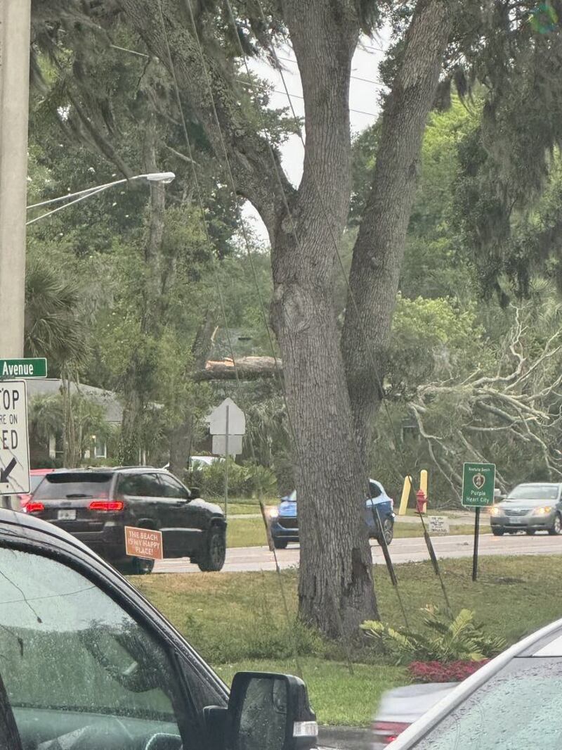 Storm damage in Northeast Florida, Southeast Georgia, 5/10/24