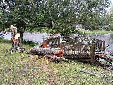 Damage to a dock caused by a falling tree in Mandarin.