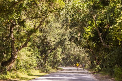 Pick one of many trails to explore in Amelia Island. The beauty is endless.