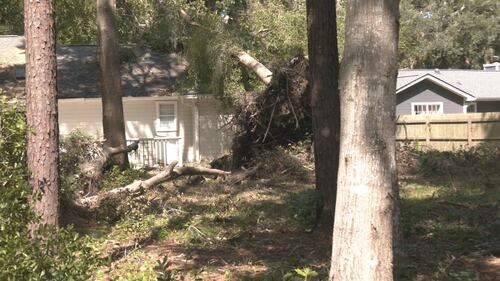 Family members in Glynn County are facing several challenges after winds from Helene toppled more than a dozen large trees on their property.