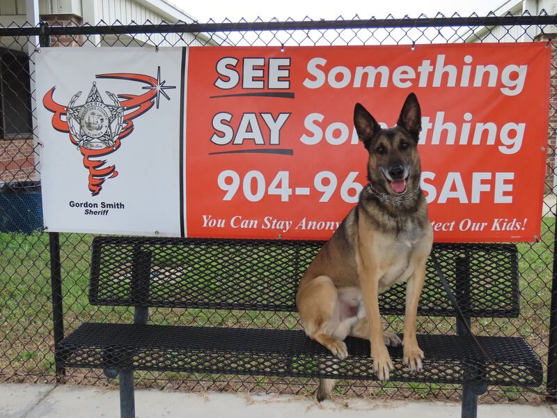 K9 Waldo representing Bradford County is one of four local area dogs that need your vote for this year's K9 March Madness.