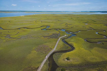 Getting lost on Amelia Island isn't such a bad idea. The island prides itself in preserving nature and its beauty.