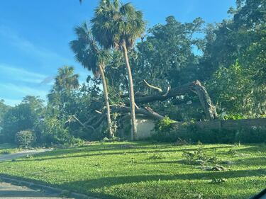 Damage Friday morning from Hurricane Helene in the San Jose Forest and San Jose West area in Jacksonville.