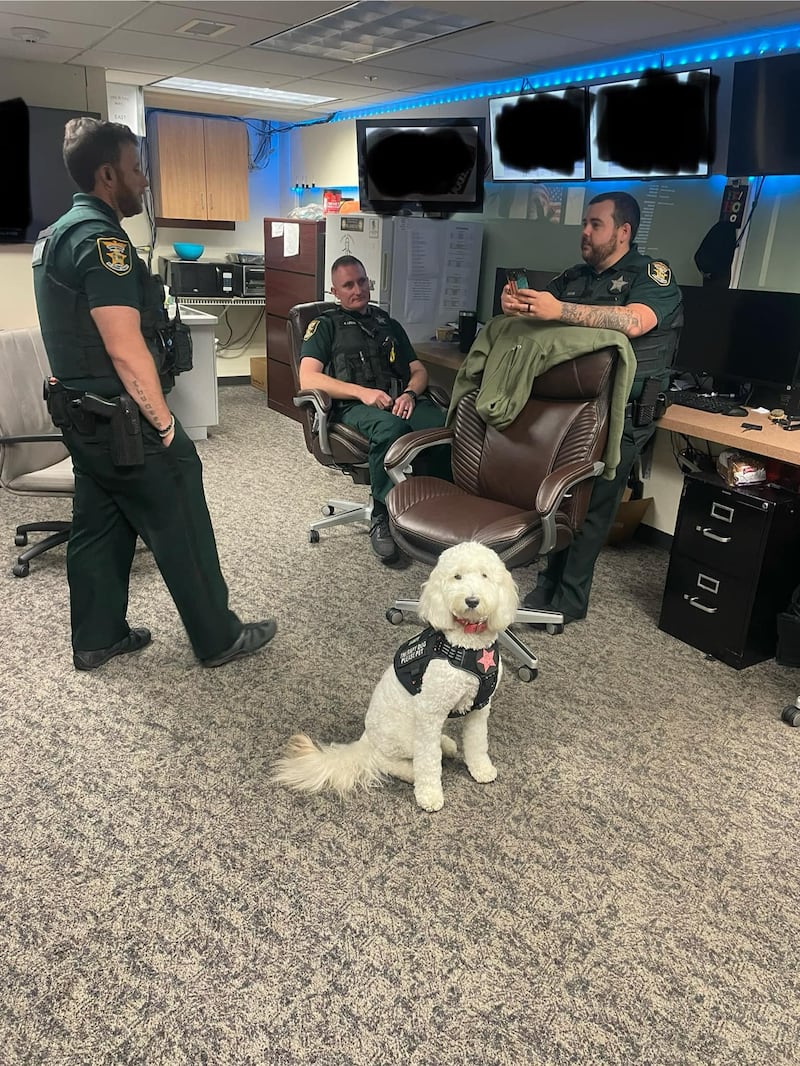 Sandy assisting her deputy co-workers in deep conversation.