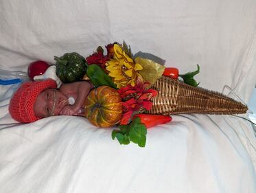 These bundles of joy and happy harvest infants were born earlier this Thanksgiving week at HCA Florida Memorial Hospital -- just in time to celebrate and share thanks with their loved ones today.