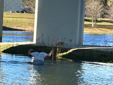 The cat was terrified, emaciated and cold as it sat in the middle of the pond.
