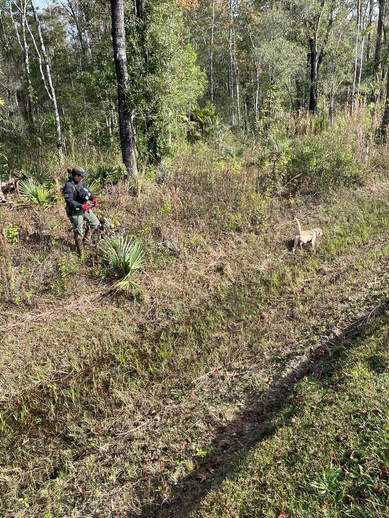 SJSO Major Crimes Unit said it continues to search for Carlos Edward Tavarez.